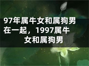 97年属牛女和属狗男在一起,1997属牛女和属狗男