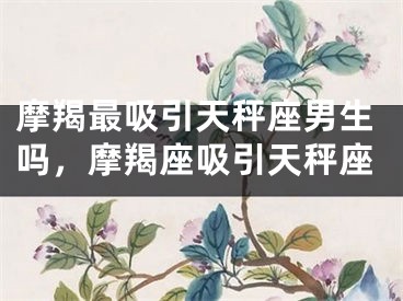 摩羯最吸引天秤座男生吗，摩羯座吸引天秤座
