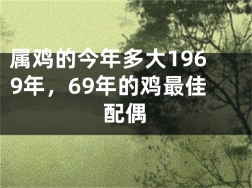 属鸡的今年多大1969年，69年的鸡最佳配偶