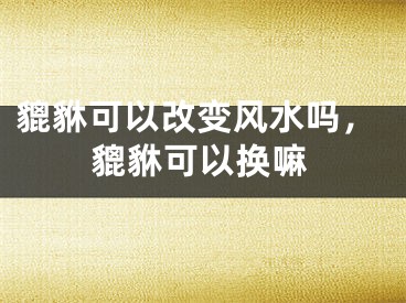 貔貅可以改变风水吗，貔貅可以换嘛