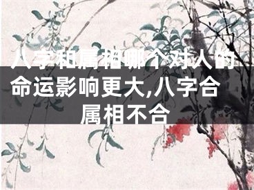 八字和属相哪个对人的命运影响更大,八字合属相不合