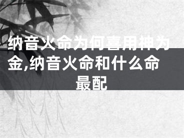 纳音火命为何喜用神为金,纳音火命和什么命最配