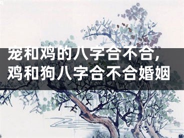 宠和鸡的八字合不合,鸡和狗八字合不合婚姻
