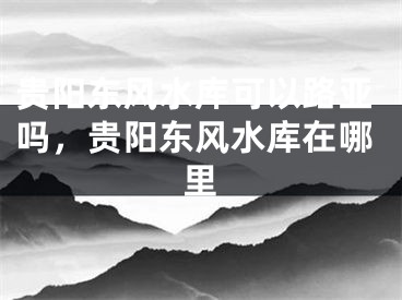 贵阳东风水库可以路亚吗，贵阳东风水库在哪里