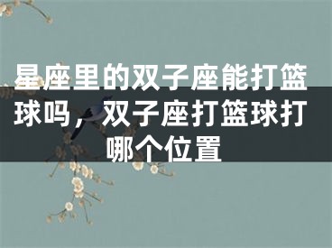 星座里的双子座能打篮球吗，双子座打篮球打哪个位置