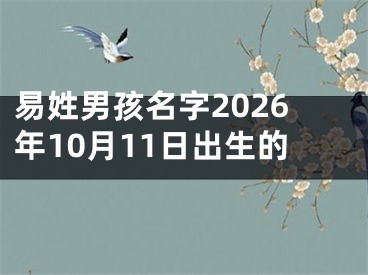 易姓男孩名字2026年10月11日出生的