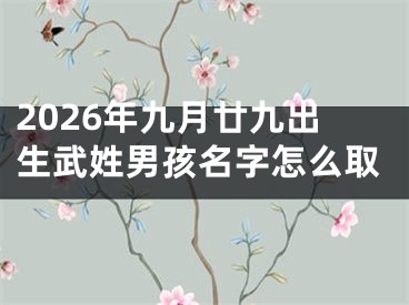 2026年九月廿九出生武姓男孩名字怎么取