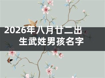 2026年八月廿二出生武姓男孩名字