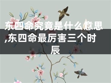 东四命究竟是什么意思,东四命最厉害三个时辰