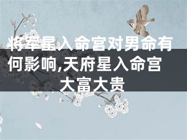 将军星入命宫对男命有何影响,天府星入命宫大富大贵