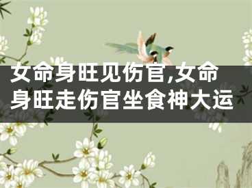 女命身旺见伤官,女命身旺走伤官坐食神大运