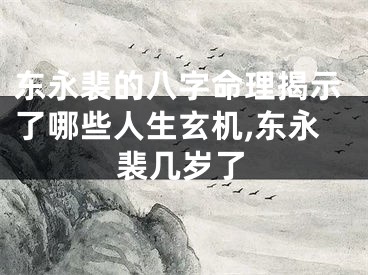 东永裴的八字命理揭示了哪些人生玄机,东永裴几岁了