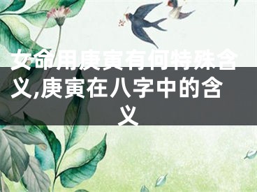 女命用庚寅有何特殊含义,庚寅在八字中的含义