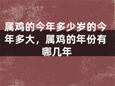 属鸡的今年多少岁的今年多大，属鸡的年份有哪几年