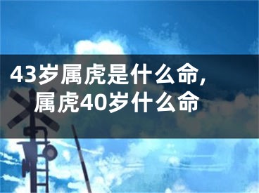 43岁属虎是什么命,属虎40岁什么命