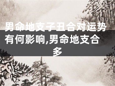 男命地支子丑合对运势有何影响,男命地支合多