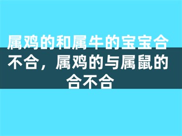 属鸡的和属牛的宝宝合不合，属鸡的与属鼠的合不合