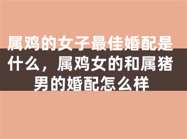 属鸡的女子最佳婚配是什么，属鸡女的和属猪男的婚配怎么样