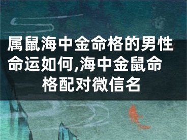 属鼠海中金命格的男性命运如何,海中金鼠命格配对微信名