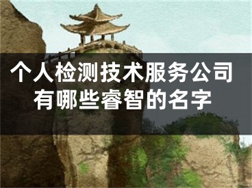 个人检测技术服务公司有哪些睿智的名字