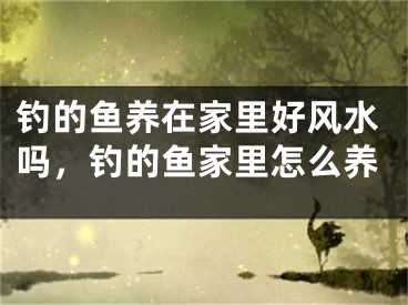 钓的鱼养在家里好风水吗，钓的鱼家里怎么养