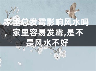 家里总发霉影响风水吗，家里容易发霉,是不是风水不好