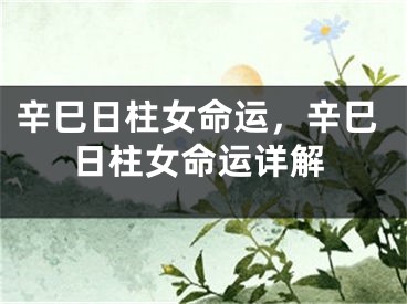 辛巳日柱女命运，辛巳日柱女命运详解