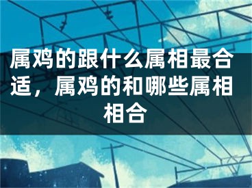 属鸡的跟什么属相最合适，属鸡的和哪些属相相合