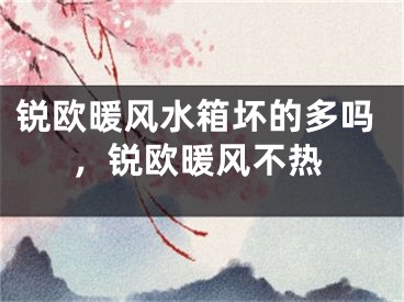 锐欧暖风水箱坏的多吗，锐欧暖风不热