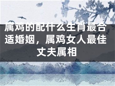 属鸡的配什么生肖最合适婚姻,属鸡女人最佳丈夫属相