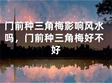 门前种三角梅影响风水吗，门前种三角梅好不好