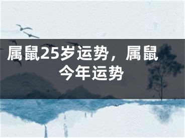 属鼠25岁运势，属鼠今年运势