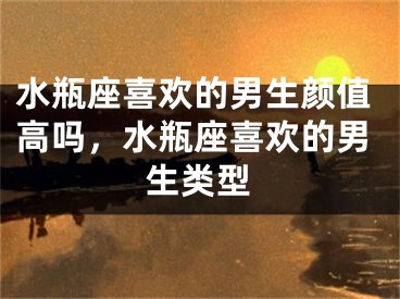 水瓶座喜欢的男生颜值高吗，水瓶座喜欢的男生类型