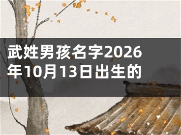 武姓男孩名字2026年10月13日出生的