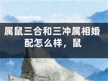 属鼠三合和三冲属相婚配怎么样，鼠