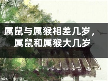 属鼠与属猴相差几岁，属鼠和属猴大几岁