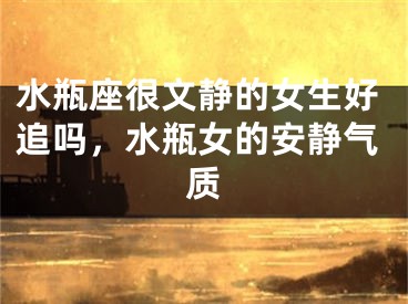 水瓶座很文静的女生好追吗，水瓶女的安静气质