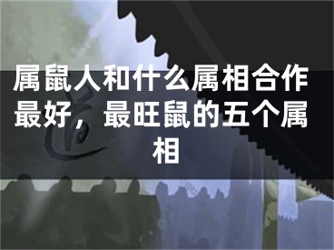 属鼠人和什么属相合作最好，最旺鼠的五个属相