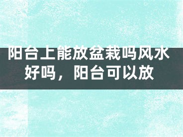 阳台上能放盆栽吗风水好吗，阳台可以放