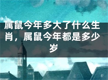 属鼠今年多大了什么生肖，属鼠今年都是多少岁
