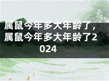 属鼠今年多大年龄了，属鼠今年多大年龄了2024