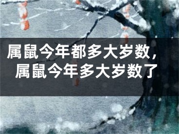 属鼠今年都多大岁数，属鼠今年多大岁数了
