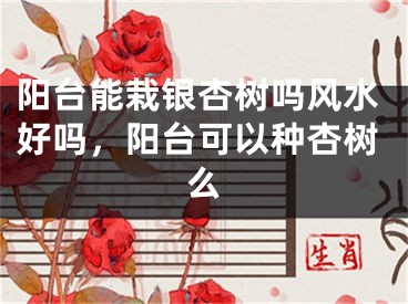 阳台能栽银杏树吗风水好吗，阳台可以种杏树么