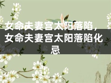 女命夫妻宫太阳落陷，女命夫妻宫太阳落陷化忌