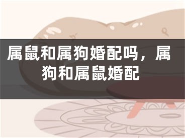 属鼠和属狗婚配吗，属狗和属鼠婚配