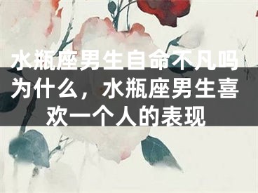 水瓶座男生自命不凡吗为什么，水瓶座男生喜欢一个人的表现