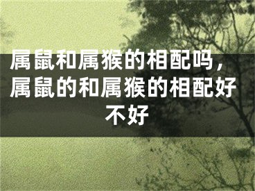 属鼠和属猴的相配吗，属鼠的和属猴的相配好不好