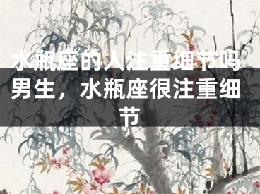 水瓶座的人注重细节吗男生，水瓶座很注重细节