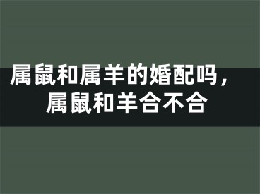 属鼠和属羊的婚配吗，属鼠和羊合不合