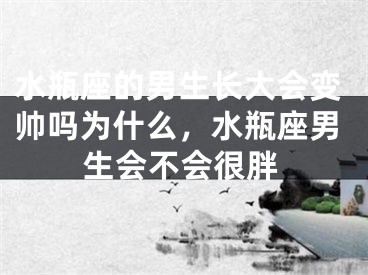 水瓶座的男生长大会变帅吗为什么，水瓶座男生会不会很胖